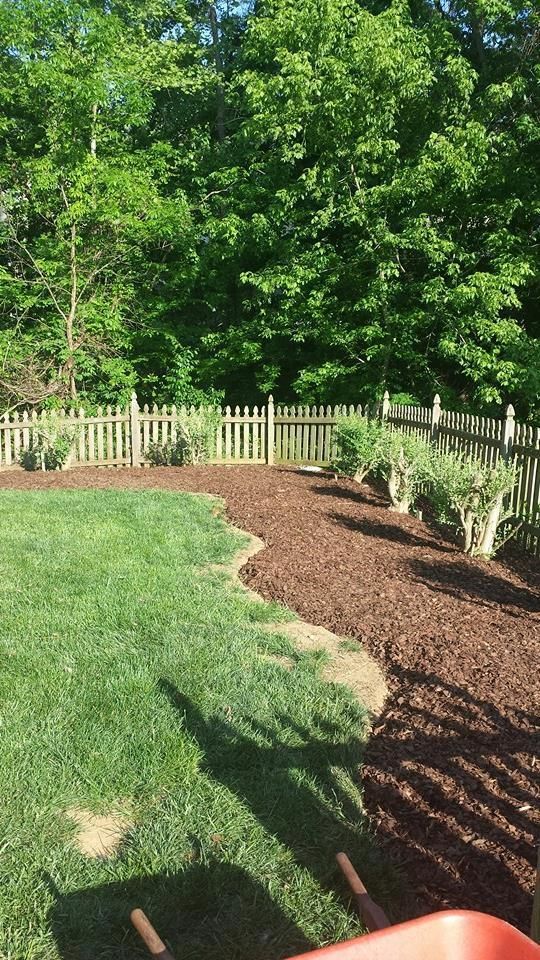 Landscaper in Charlotte, NC