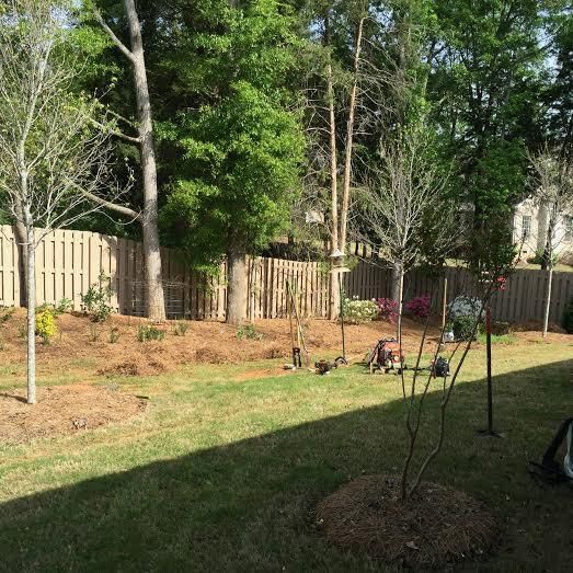 Before a completed landscaping project in the  area